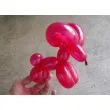 balony zwierzatka