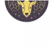 baner andrzejki astro zodiak 2 m