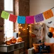 baner dia de los muertos czaszki wielokolorowy 6 szt 2 2 m