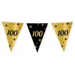 baner flagi 100 urodziny classy party 10m pd party
