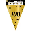baner flagi 100 urodziny classy party 10m pd party