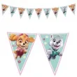 baner flagi paw patrol skye and everest procos 230 cm