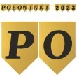 baner flagi polowinki 2023 zloty diy 2 5 m