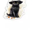 baner halloween kot czarownicy z dynia mix 3m