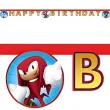 baner happy birthday sonic procos 2 m