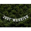 baner just married srebrny partydeco 16 x 170 cm