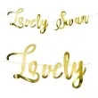 baner lovely swan partydeco zloty 64 cm