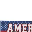 baner usa american party boland 220 cm