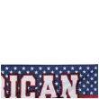 baner usa american party boland 220 cm
