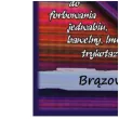 barwnik do tkanin lazur brazowy argus 18 g