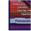 barwnik do tkanin lazur pomaranczowy argus 18 g