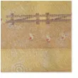 bieznik sizalowy farma mix chaks 30 x 500 cm