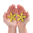 bron gwiazdki ninja shuriken zloty 2 szt