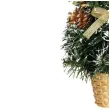 choinka classic mini ozdobiona osniezona zlota guirca 40 cm