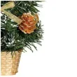 choinka classic mini ozdobiona osniezona zlota guirca 40 cm
