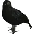 dekoracja czarny kruk guirca 25cm