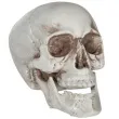 dekoracja czaszka 12 cm