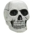 dekoracja czaszka amscan 13 cm