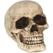 dekoracja czaszka guirca 8 cm