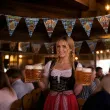dekoracja do powieszenia na oktoberfest baner flagi oktoberfest po bawarsku girlanda papierowa