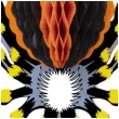 dekoracja honeycomb hallowenowy pajak partypal 25 cm