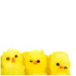 dekoracja kurczaki zolte 4 cm arpex 12 szt