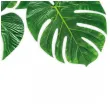 dekoracja liscie palmy boland 35 x 28 cm 4 szt