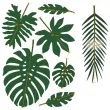 dekoracja liscie tropikalne aloha partydeco 21 szt