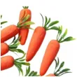 dekoracja marchewki male pomaranczowy arpex 15 szt