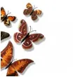 dekoracja motyl 3d mix dekoracje polska 12 szt