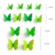 dekoracja motyl 3d zielony dekoracje polska 12 szt