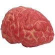 dekoracja mozg 15 cm