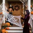 dekoracja na andrzejki sztuczna pajeczyna i 2 pajaki nylonowa halloween ozdoba biala 60 g