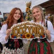 dekoracja na dozynki festyn wiejski festiwal zakonczenie zniw ozdoba na okno drzwi