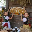 dekoracja na dozynki festyn wiejski festiwal zakonczenie zniw ozdoba na okno drzwi
