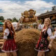 dekoracja na dozynki festyn wiejski festiwal zakonczenie zniw ozdoba na okno drzwi