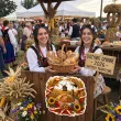 dekoracja na dozynki festyn wiejski festiwal zakonczenie zniw ozdoba na okno drzwi bocian