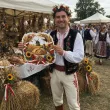 dekoracja na dozynki festyn wiejski festiwal zakonczenie zniw ozdoba na okno drzwi bocian