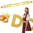 dekoracja na dozynki gminne 2026 baner girlanda papierowa klosy zboz zloty na festyn zniwa