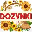 dekoracja na dozynki gminne balon foliowy dozynki sloneczniki ozdoba do girlandy 18 rnd