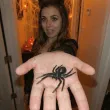 dekoracja na halloween andrzejki pajak duzy czarny ozdoba straszna zabawna spider 5x7 cm