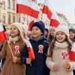 dekoracja na marsz swieto niepodleglosci 11 listopada kotylion naklejka polska flaga godlo x8