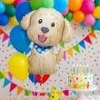 dekoracja na urodziny prezent balon foliowy pies cobberdog piesek psiak 24 shp