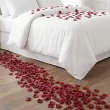 dekoracja na walentynki platki roz czerwone cieniowane partydeco 100 szt