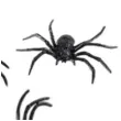 dekoracja pajaki czarna amscan 4 szt