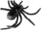 dekoracja pajaki czarna amscan 4 szt