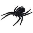 dekoracja pajaki duzy czarny 5x7 cm