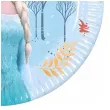 dekoracja stolu na urodziny dzien dziecka talerzyki papierowe frozen elsa kraina lodu 8 szt