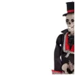 dekoracja szkielet elegancika carnival toys 40 cm