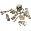 dekoracja szkielet ludzki funnyfashion